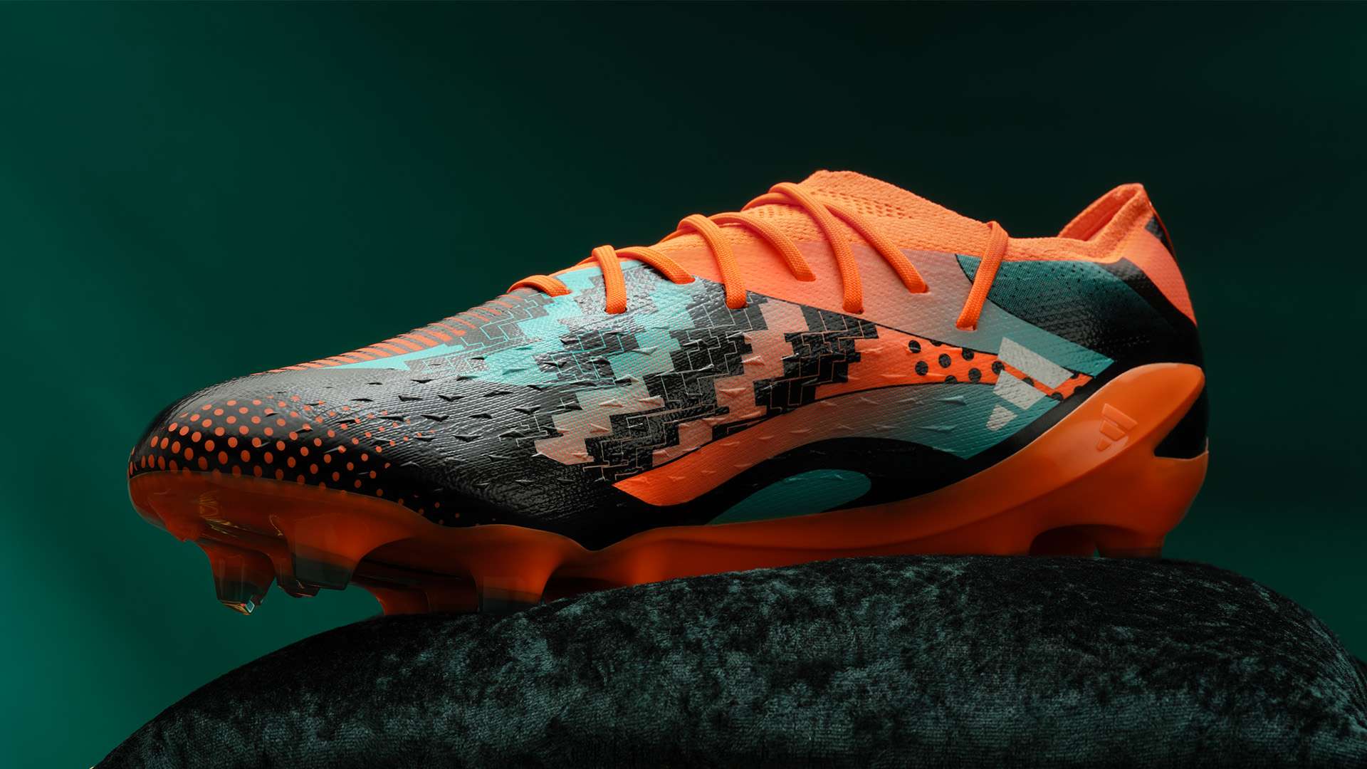 政策和社会 政策和社会