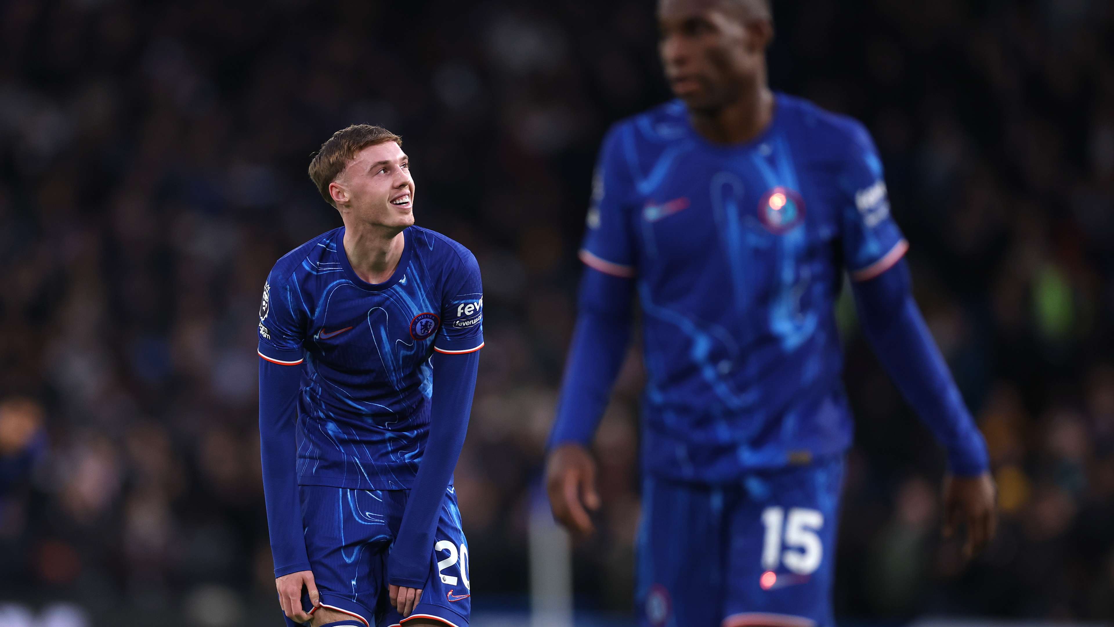 渴望书写属 渴望书写属